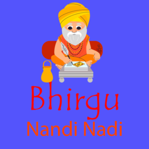 Bhrigu Nandi Nadi Course